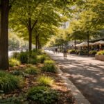 Czy drzewa naprawdę „chłodzą” miasta – naukowe wyjaśnienie efektu